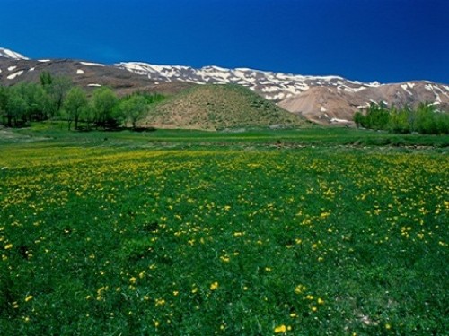 منطقه جنگلی اردل اردل 1 منطقه جنگلی اردل