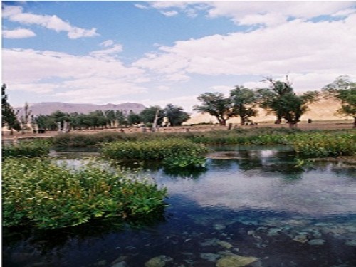 grey چشمه دیمه 