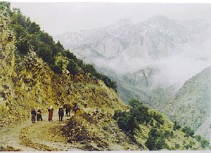 اورامان 1 روستای اورامان