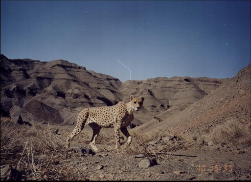 سرخه حصار 4 پارک سرخه حصار