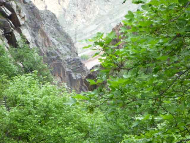 کمتال 1 ارتفاعات کمتال