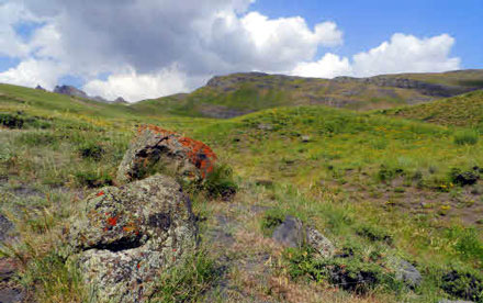 میر 2 روستای میر 