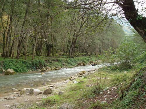پارک-جنگلی-چالوس پارک جنگلی چالوس
