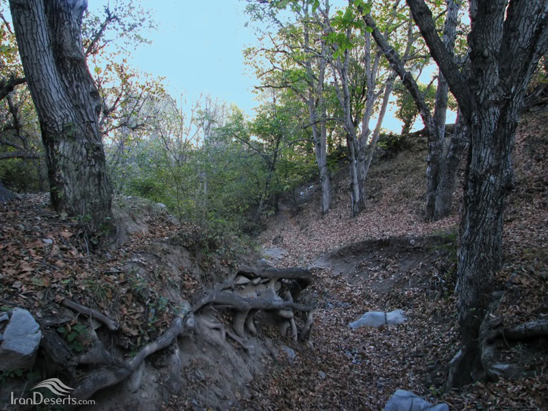 دره پیغام