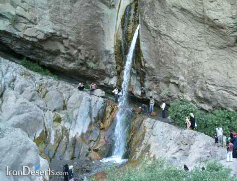 راین grey راین
