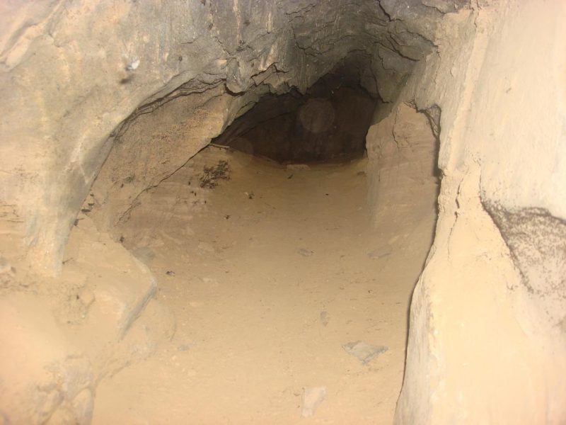 زری غار زری