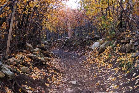 پاییز پاییز و آمار گردشگری ایران 