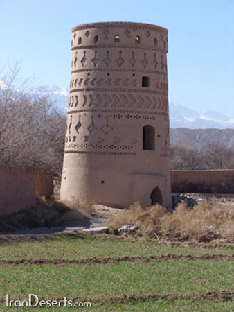 پهلوان پور مهریز 