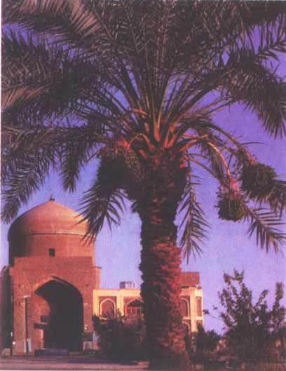 امامزاده حسین ابن موسی کاظم(ع) emamzade-tabas-d امامزاده حسین ابن موسی کاظم(ع)