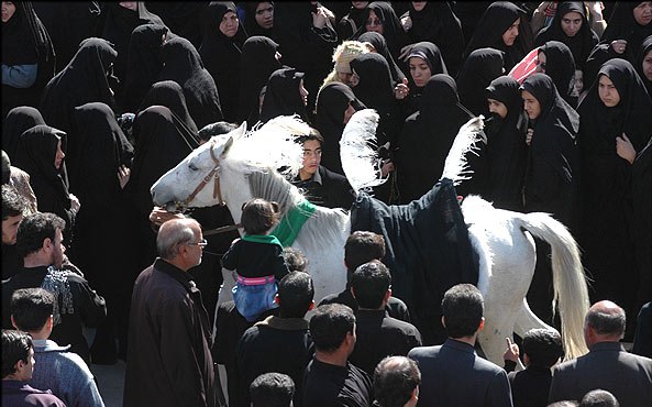 اسب محرم در آذربایجان شرقی 