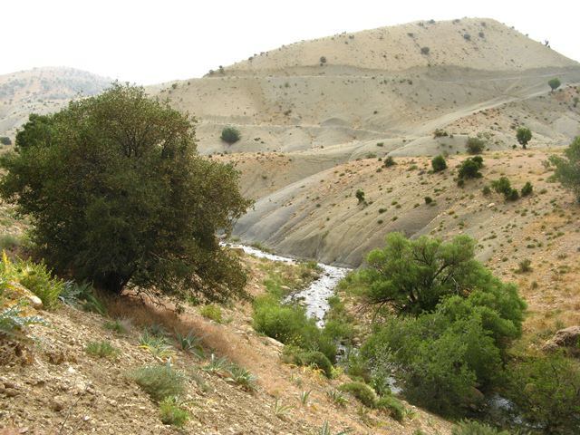 تنگ بغدیون بغدیون تنگ بغدیون