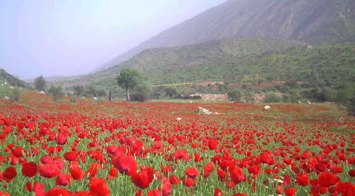 بهجان 2 روستای تاریخی بهجان 