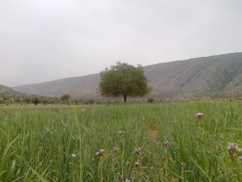 بهجان 4 روستای تاریخی بهجان 