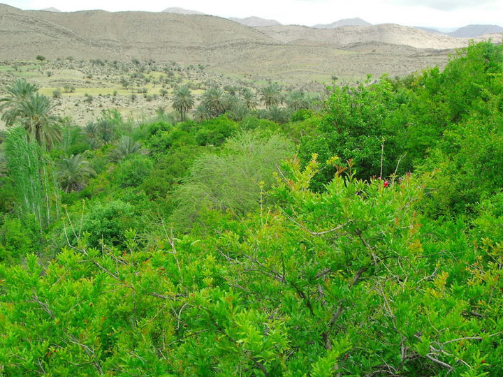 بهجان 7 روستای تاریخی بهجان 