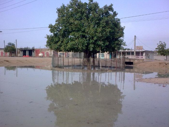 روستای توریان توریان 4 روستای توریان