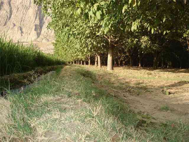 حصارک 9 روستا و آبشار حصارک 