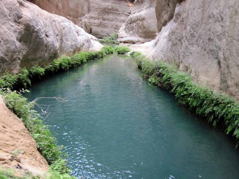 رغز5 تنگ رغز 