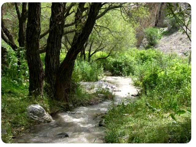 روستای زشک