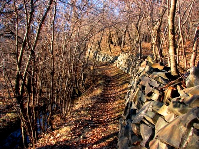  روستای زشک