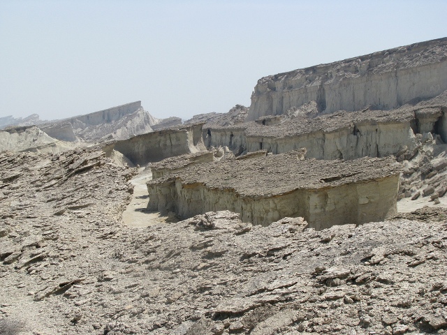 کاسه سلخ سلخ 1 کاسه سلخ