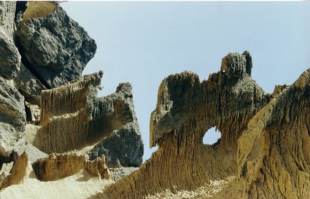 کاسه سلخ سلخ 2 کاسه سلخ