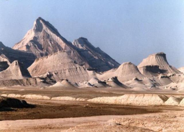 کاسه سلخ سلخ 5 کاسه سلخ