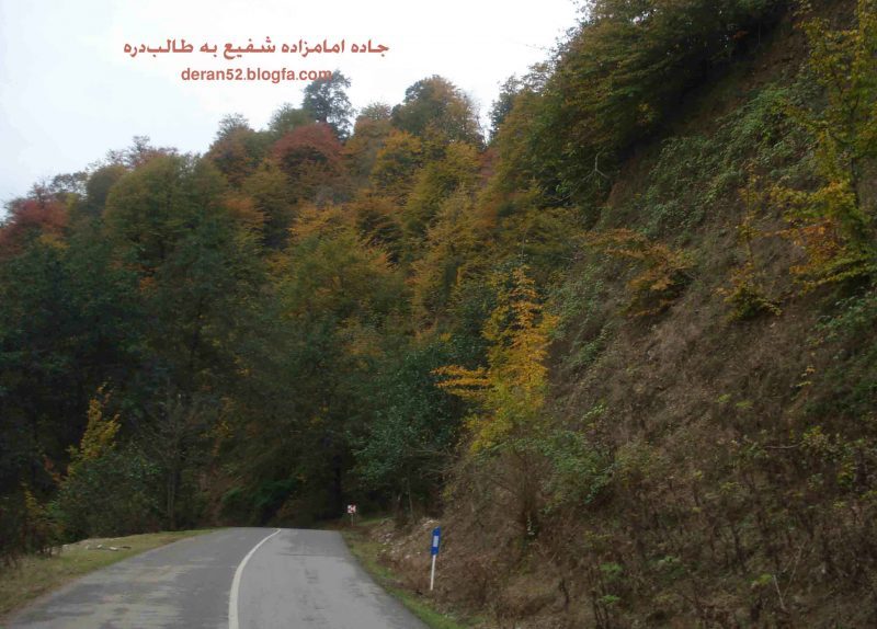 شفیع 3 امامزاده شفیع شاندرمن 