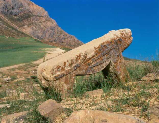 شیر6 شیرهای سنگی 
