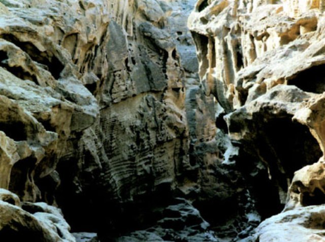  تنگه عالی محمد
