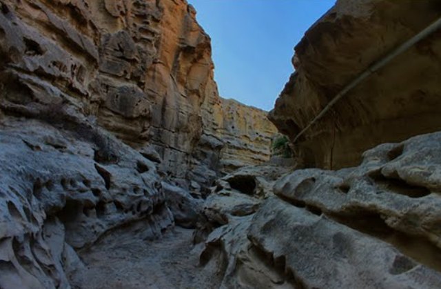  تنگه عالی محمد