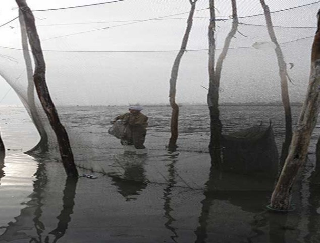 مشتا8 صید مشتا