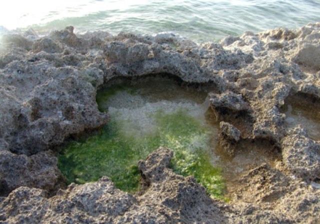 هور4 کلبه هور