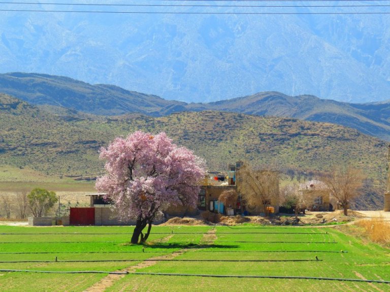 هکان 2 روستای هکان 