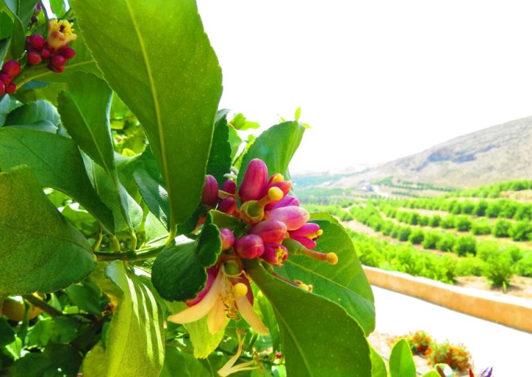 هکان 3 روستای هکان 