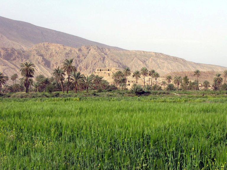 هکان 5 روستای هکان 