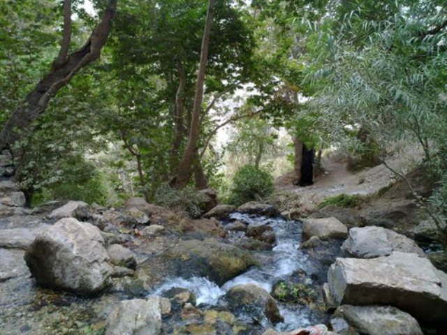 آبشار وارک آبشار وارک