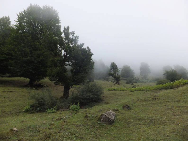 کوربار 4 ییلاق کوربار ماسوله 