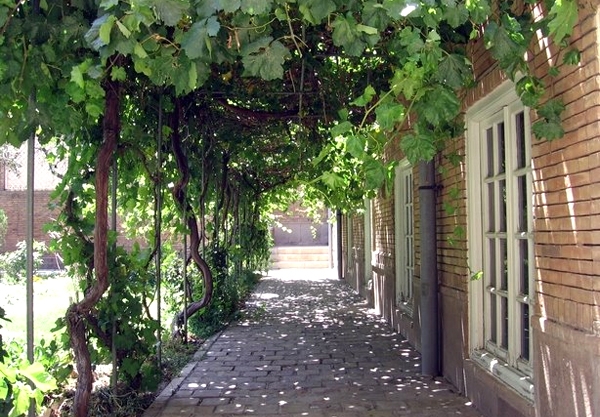 خانه گنجه ای زاده ganjehyi1802-mm1 خانه گنجه ای زاده