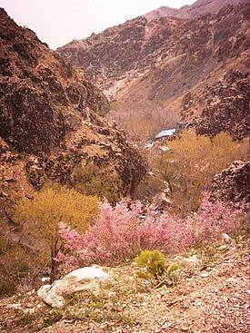 tamakoh2 مسیر کوهپیمایی درکه