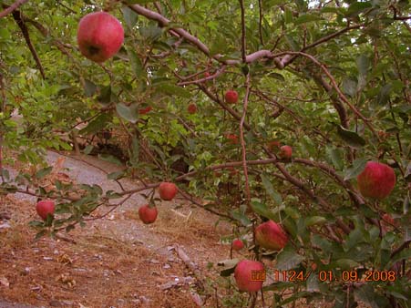 دره ناصر آباد ناصرآباد 4 دره ناصر آباد