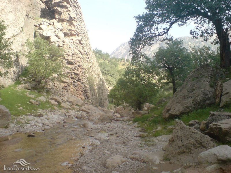 تنگ 1 تنگ تهی 