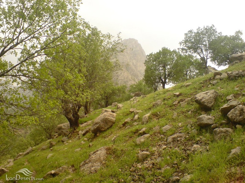 تنگ 2 تنگ تهی 