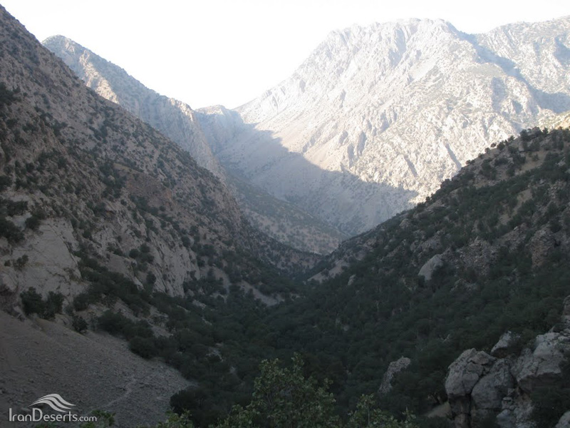 تنگ 4 تنگ تهی 