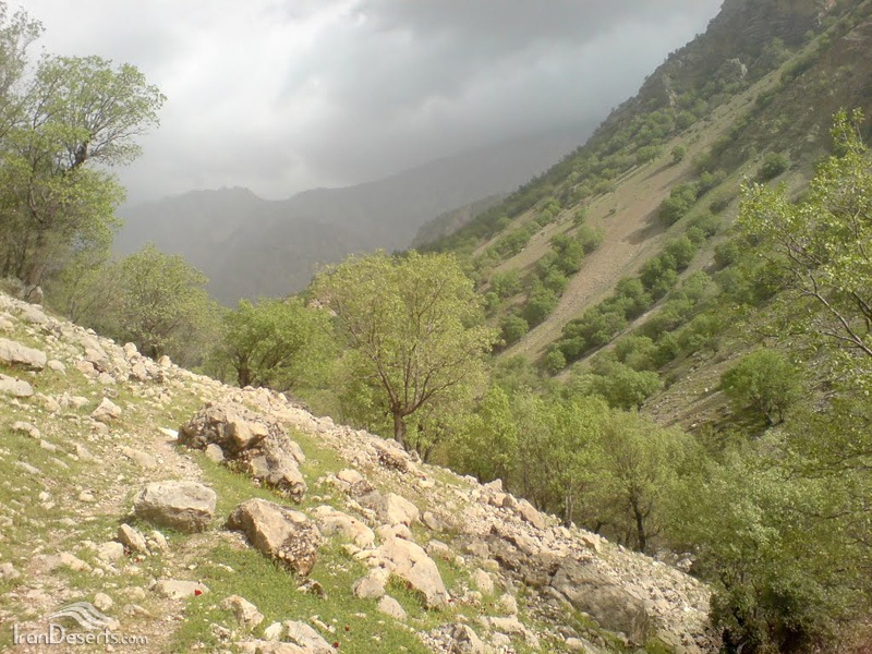 تنگ 5 تنگ تهی 