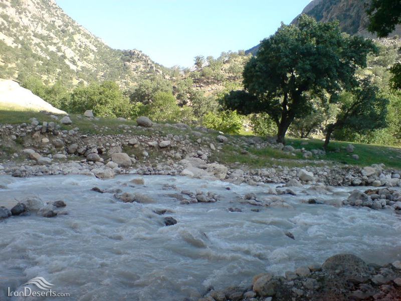 تنگ 6 تنگ تهی 