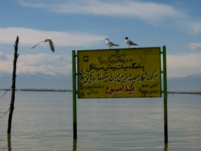 سرخانکل 1 پناهگاه حیات وحش سرخانکل