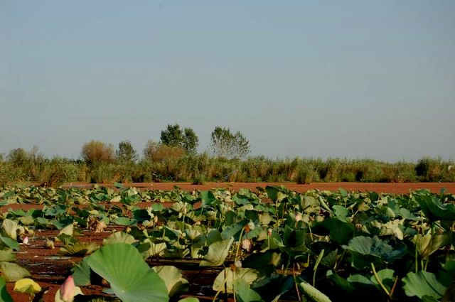 سرخانکل 2 پناهگاه حیات وحش سرخانکل