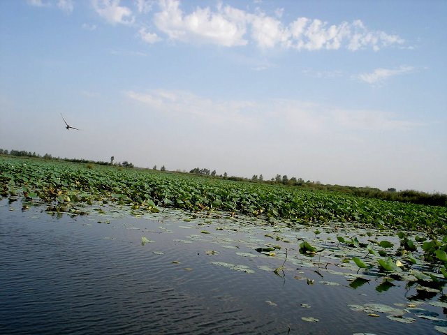 سرخانکل 4 پناهگاه حیات وحش سرخانکل