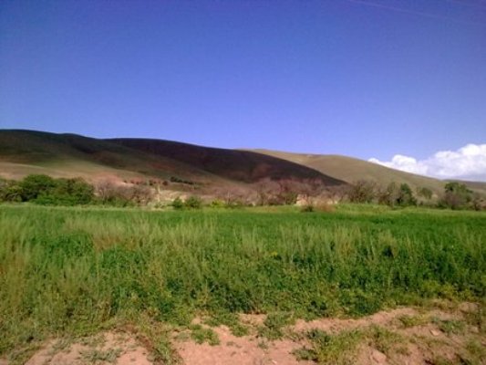 تپه سلوط 