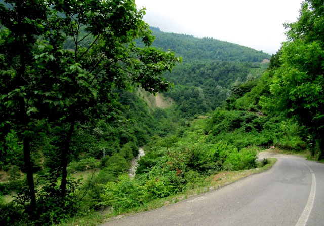 روستای پلام - فلام پلام 5 روستای پلام - فلام